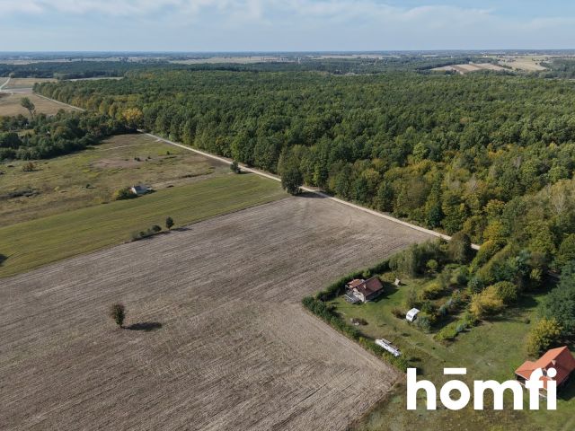 Działka budowlana w komplecie z przyrodą, ciszą i spokojem - Działka - Sprzedaż - Zwoleński, Przyłęk / Ławeczko Stare