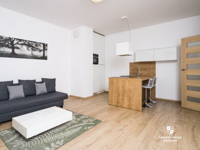 Komfortowe mieszkanie 48m2 w inwestycji Apartamenty Novum - Mieszkanie - Wynajem - Kraków, Śródmieście / Stare Miasto