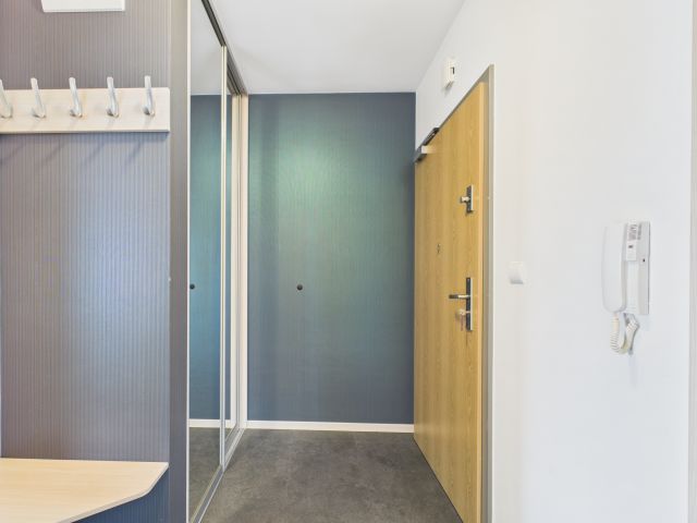 Apartment for rent - Apartment - Rent - Kraków, Śródmieście / Grzegórzki