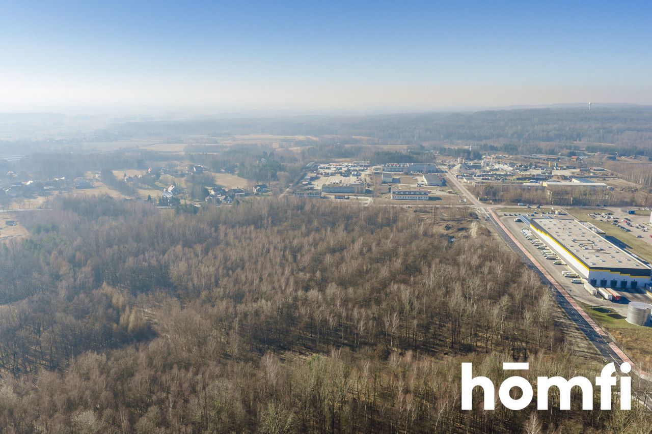 Offer for Sale – Land for Production and Logistics - Plot - Sale - Tarnobrzeski, Nowa Dęba / Chmielów