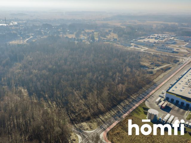 Oferta sprzedaży – teren pod produkcję i logistykę - Działka - Sprzedaż - Tarnobrzeski, Nowa Dęba / Chmielów