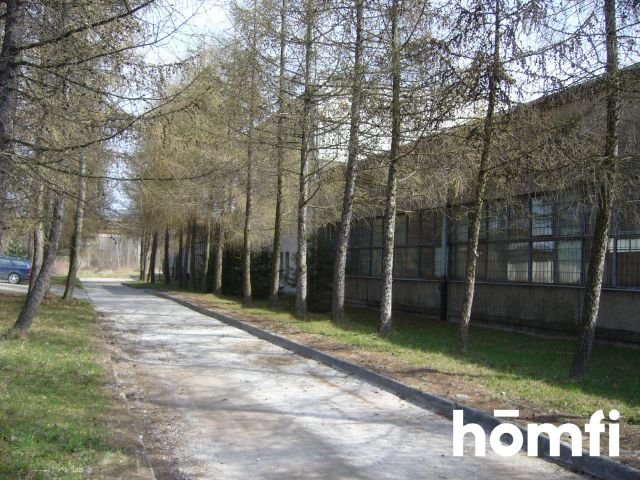 10 ha Inwestycje Przemysłowo - Magazynowe - Działka - Sprzedaż - Tarnowski, Tarnów / Wola Rzędzińska