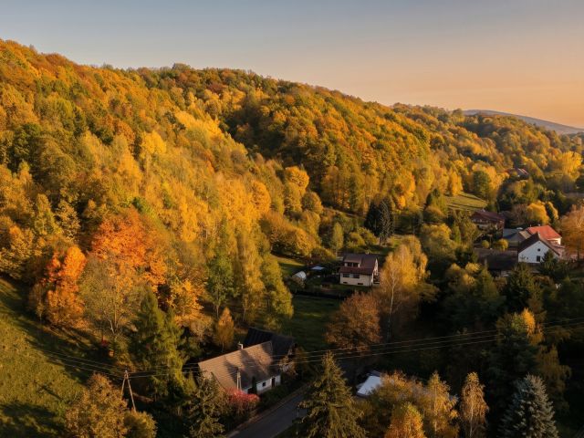 Unique post-and-beam house from 1829 - House - Sale - Wałbrzyski, Walim / Jugowice