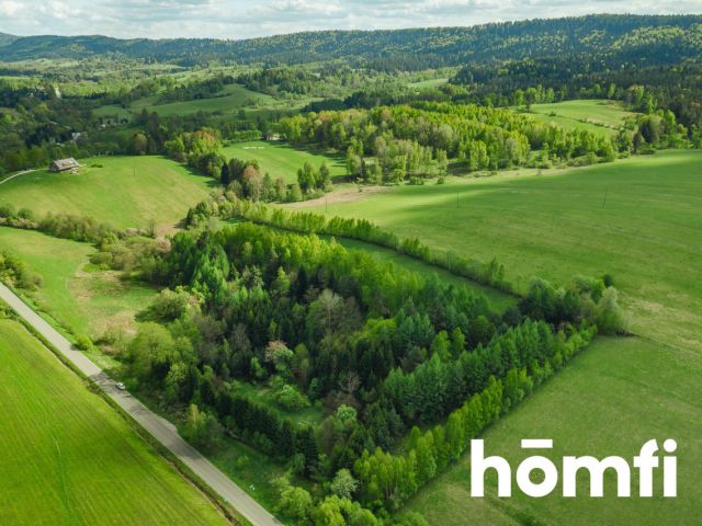 Ustrzyki Dolne – a plot in Hoszowczyk with a zoning decision (WZ)! - Plot - Sale - Bieszczadzki, Ustrzyki Dolne / Hoszowczyk