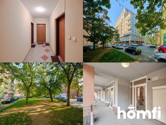 3 rooms apartment at Kaszubska street - Apartment - Rent - Wrocław, Śródmieście