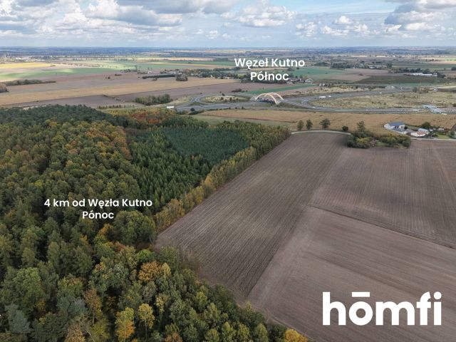 5 ha plot | Logistics and Services Hub | A1 | - Ділянка - Продаж - Kutnowski, Strzelce / Wola Raciborowska